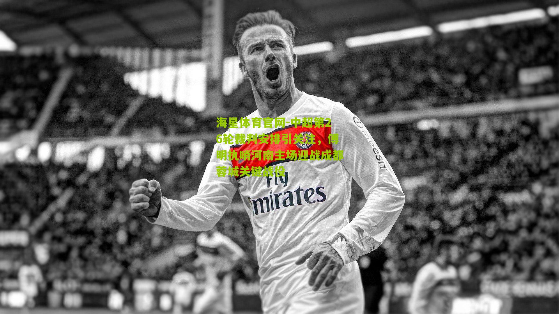 中超第26轮裁判安排引关注，傅明执哨河南主场迎战成都蓉城关键战役