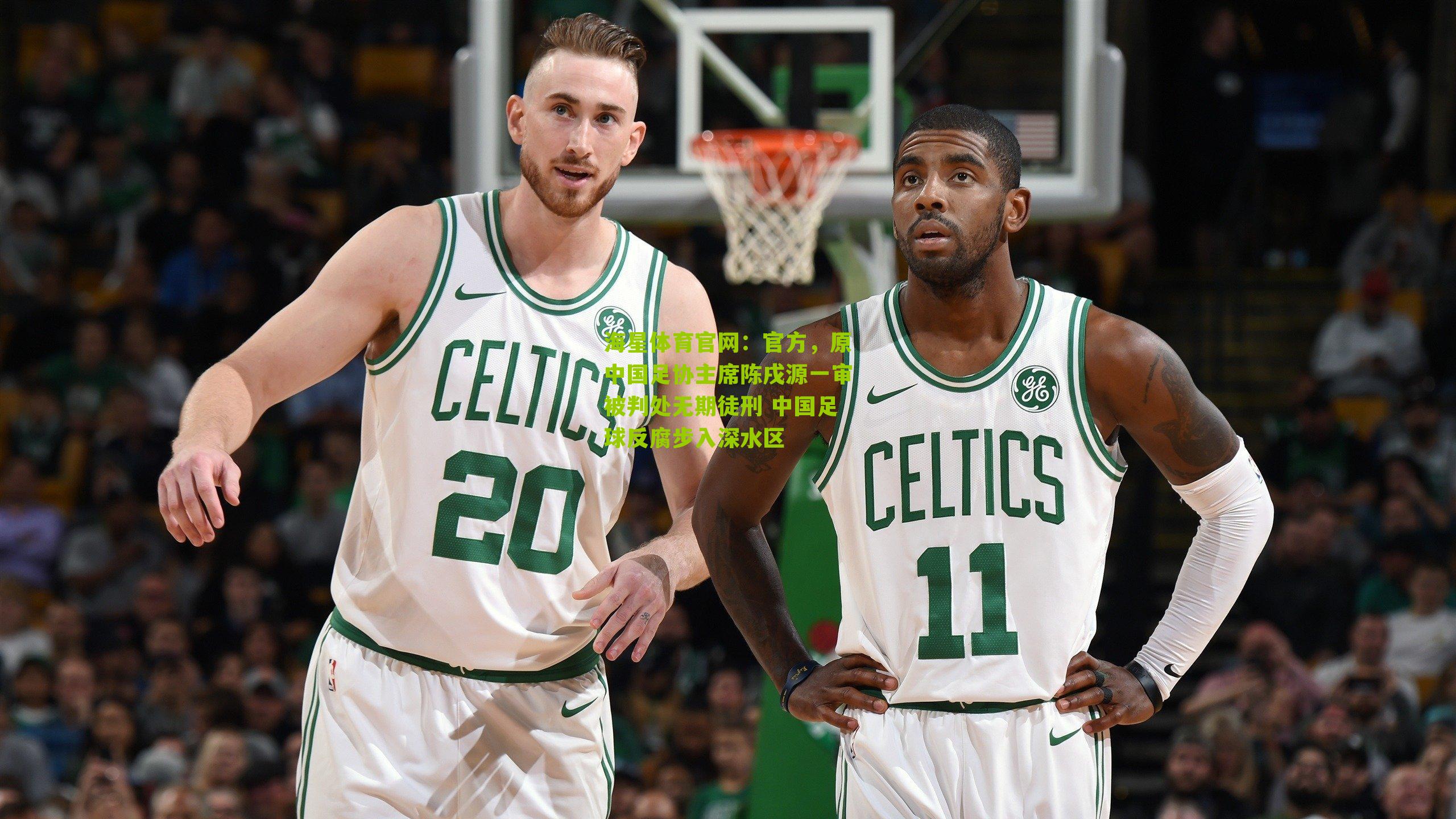 官方，原中国足协主席陈戌源一审被判处无期徒刑 中国足球反腐步入深水区